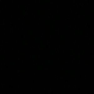 Meet your Posher, Savannah